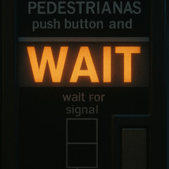 FknLucaDiba - Wait (Traffic Light Remix)