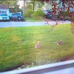 Jack and Jill (all plats)