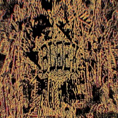 𝕲𝖎𝖛𝖊𝕮𝖍𝖆𝖘𝖊