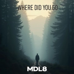 Where Did You Go [Original Mix]
