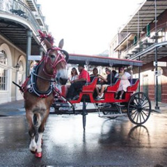 Review Special Price New Orleans French Quarter And More Carriage Ride