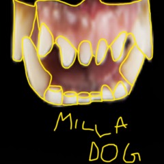 Ég Plataði Ykkur Haha