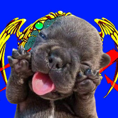 REMISERIA TEMPERLEY - BUTACA (NOLY FLIP)