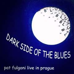 Pat Fulgoni - How Many More Times (live blues cover)