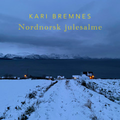 Nordnorsk julesalme