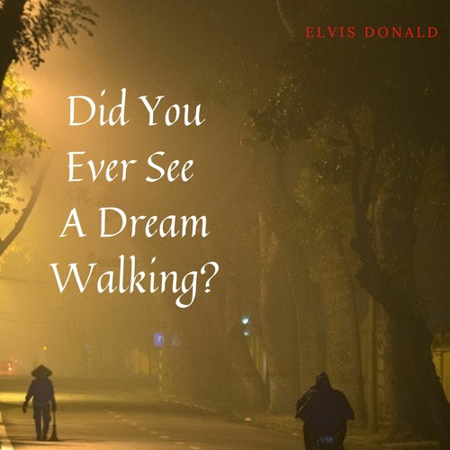 Did You Ever See A Dream Walking