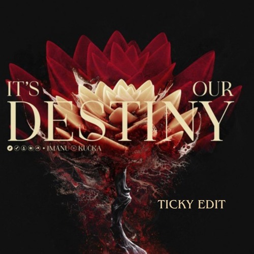 IMANU & KUČKA - Its Our Destiny - Ticky Edit (FREE DOWNLOAD)