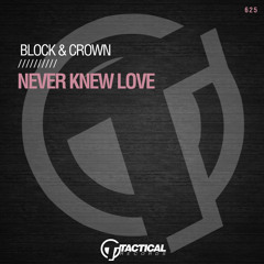 Never Knew Love (2022 MIX)