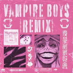 VAMPIRE BOYS - ZerO (Remix)