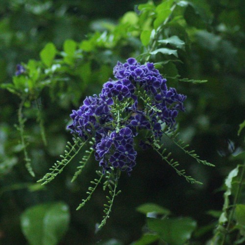 Sky Of The Moon(Demo2)