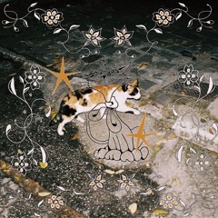 Menge Problems Remix DEMO_12