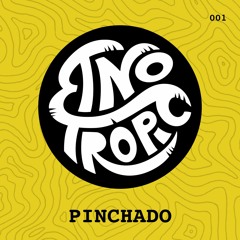 Mixtapes Series - 001 - Pinchado
