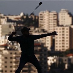 YOUTH OF REVENGE AND LIBERATION