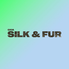 Silk & Fur feat. Hacène - [Diversions Music]