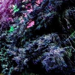 mindless slaves [the virus and antidote]