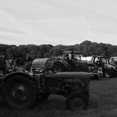 Zommerfeest - Wiljo Brusse