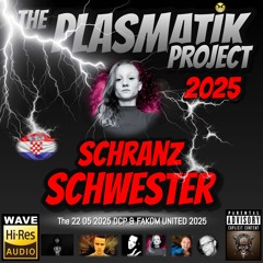 schranzschwester  @ DCP The Plasmatik project 2025 & schranzschwester bday bash