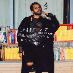Want It feat. NightShade The Glow