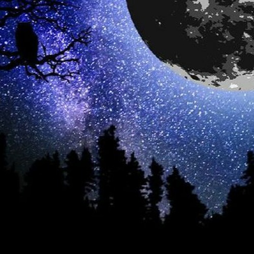 Nocturnal X