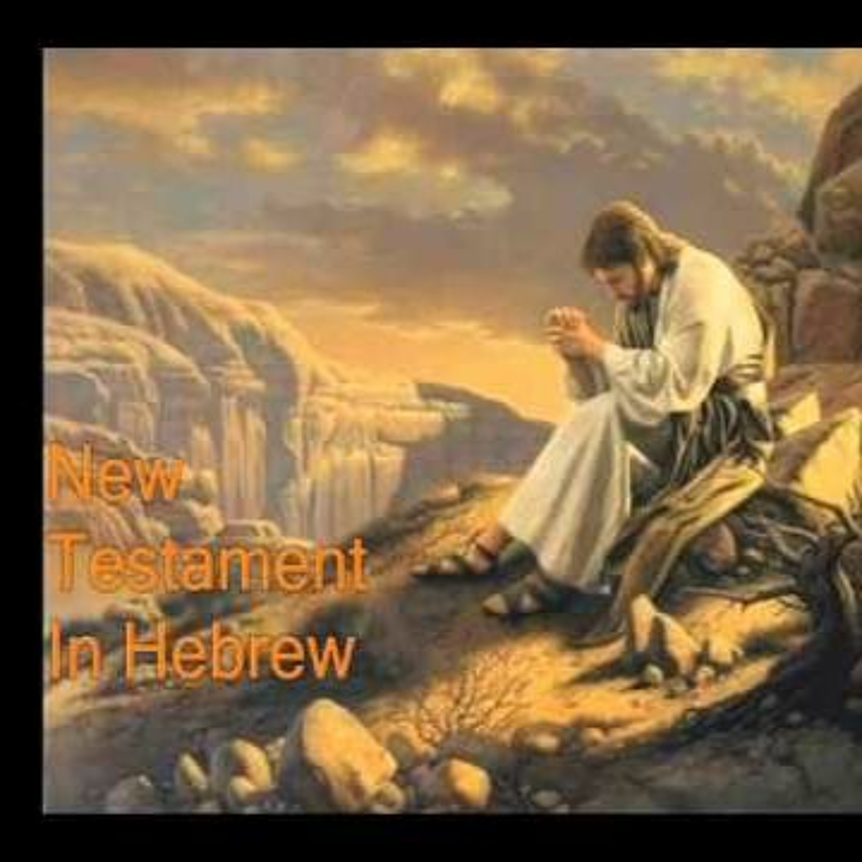 Trans Regret Snoopy Presents The Bible