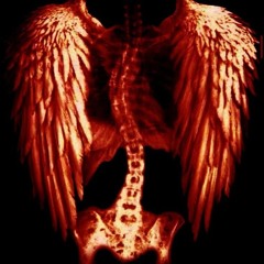 STOMACH BOOK -Folie à deux [toned down + echo]