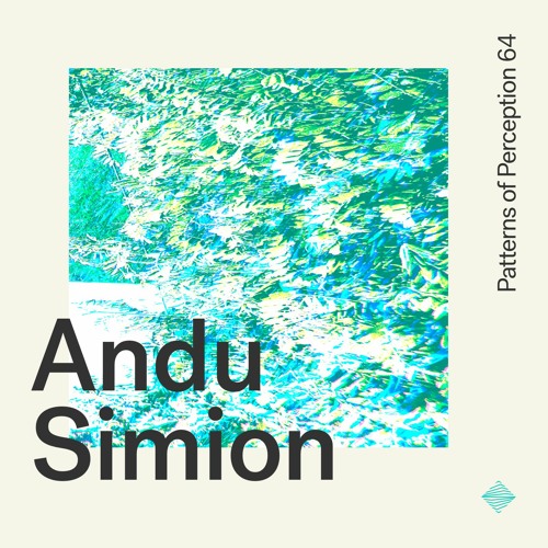 Patterns of Perception 64 - Andu Simion