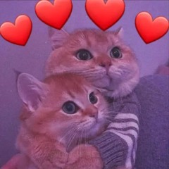 Schnubi - (Trance, Techno, House) - Malugi, Lammer, L.zwo, Sachsentrance, bl3ss.bl3ss, DJ Dorfatze