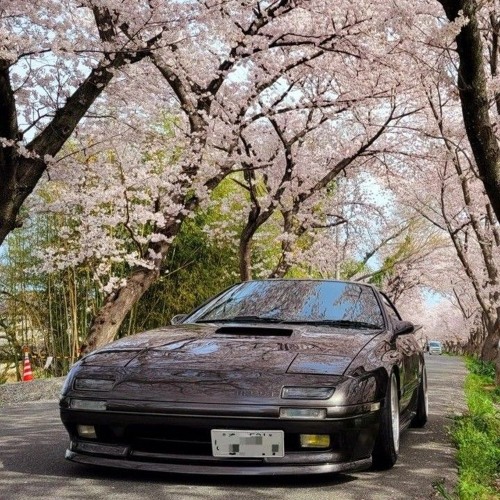 CELESTIAL AURA 2 w/lenoovy, THE M$F ☆