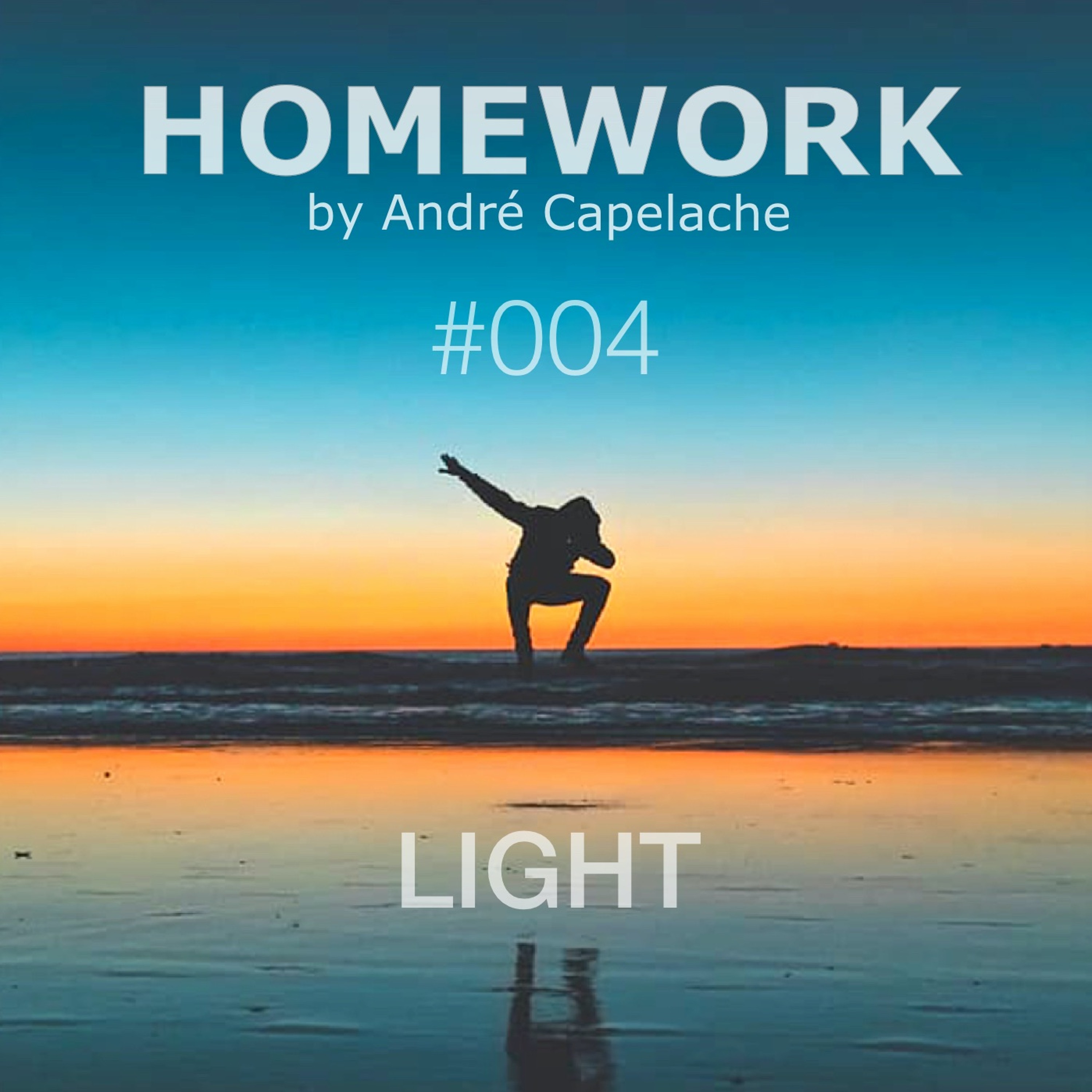 André Capelache HOMEWORK