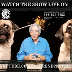The Pet Show 123023 H2