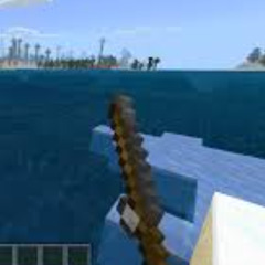 Fly Fishing