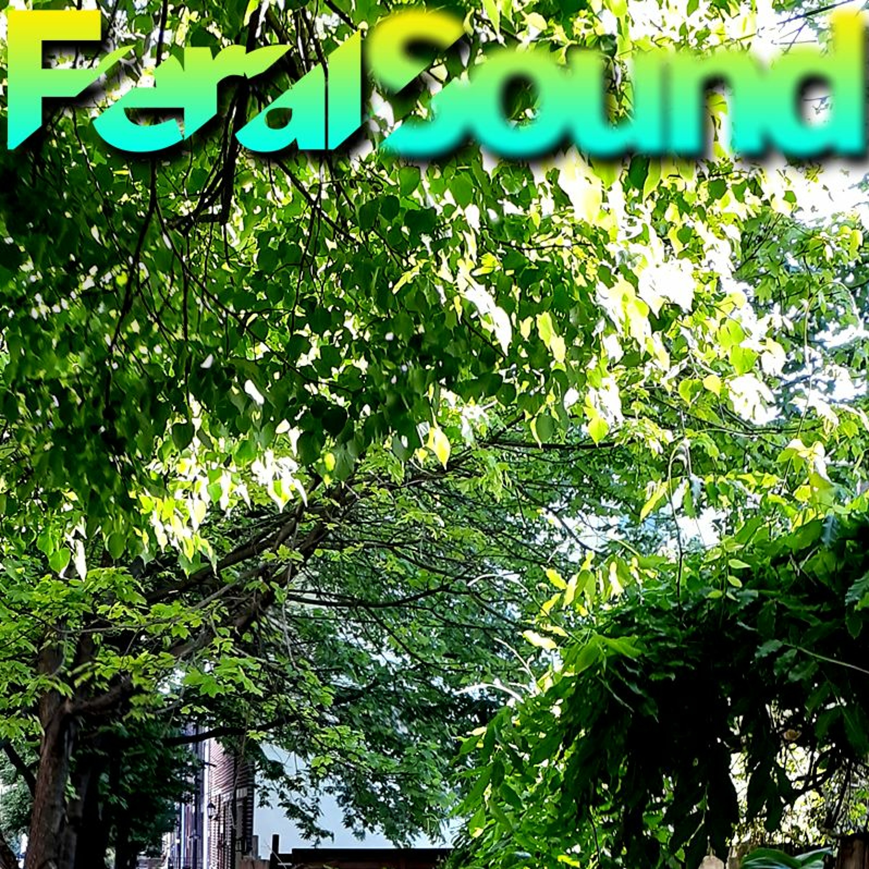 Feral Sound with Fox - 12 May 2023