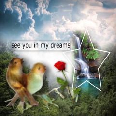 see u in my dreams w/mckel
