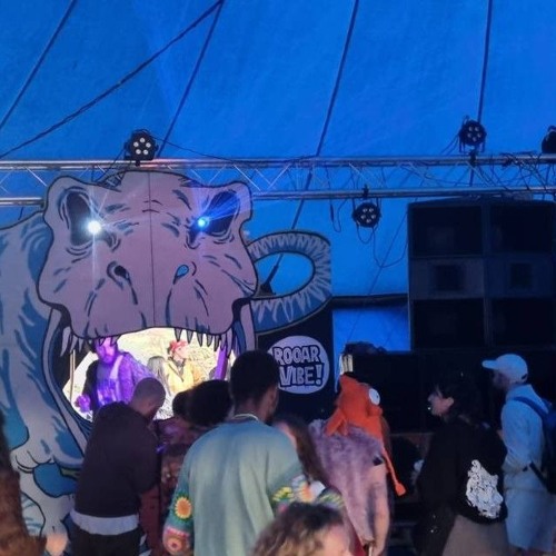 Shut Down the Rave - ROAR VIBE 16/8/25 (Jungle etc.)