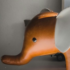 The Orange Elephant