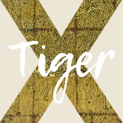 Tiger X. Episode 20. Meta Sister