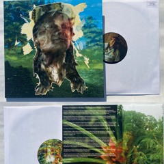 Music Releases