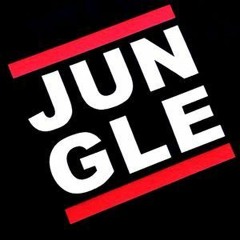Drum and Bass / Jungle  💥