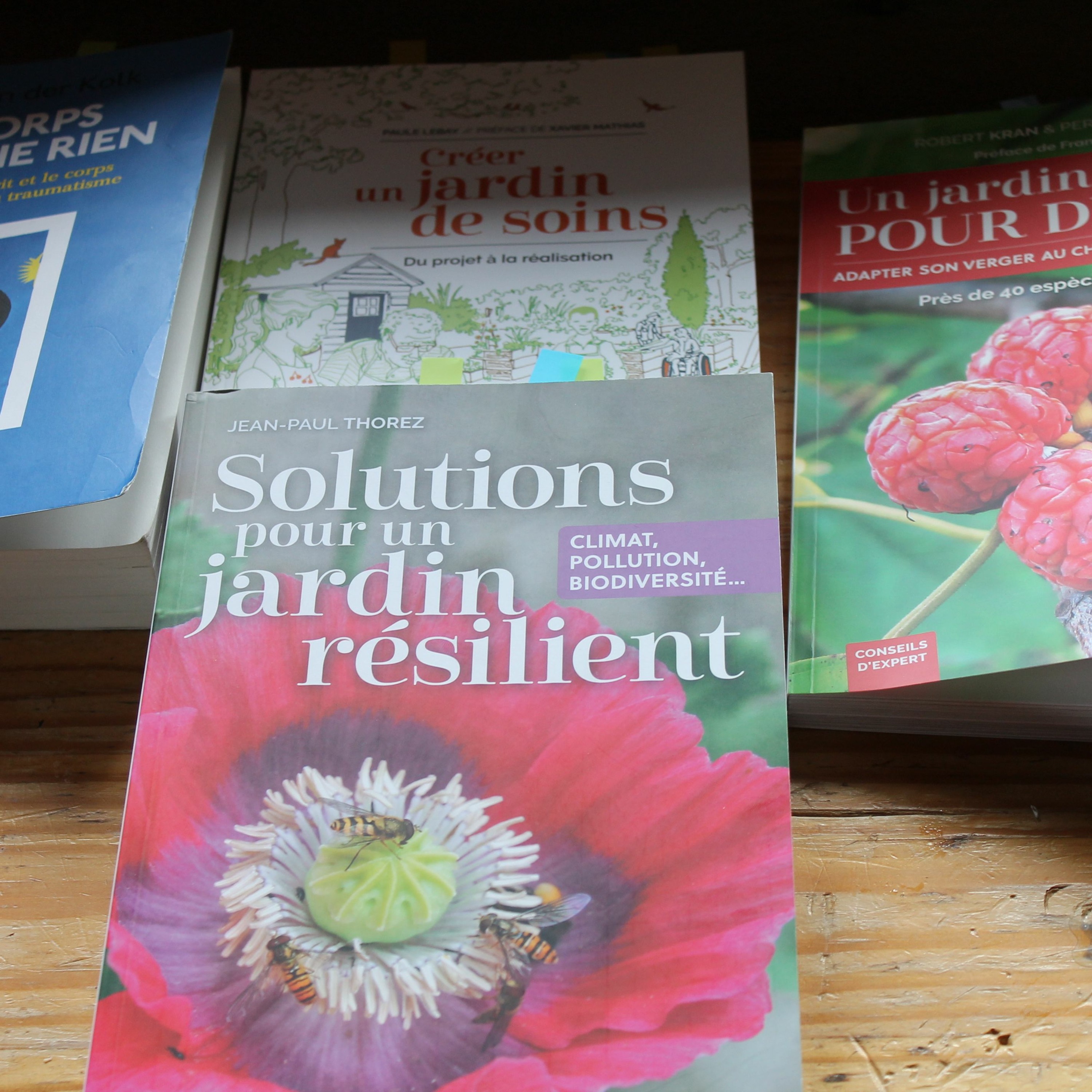 J'ecrirai Des Soleils 19