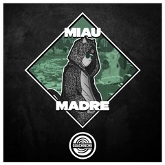 Miau - Madre  "GUA035"