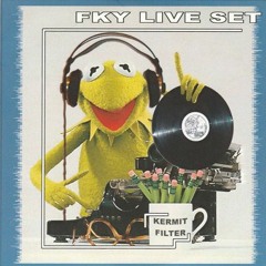 FKY ◦°˚ヽᖗⵙ⍘ⵙᖘノ˚°◦ Kermit Filter (2004)