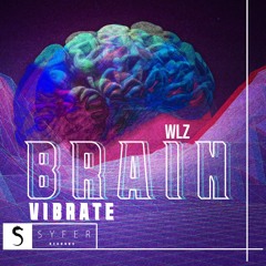 WLZ - BRAIN VIBRATE