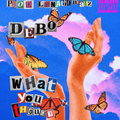 What you thought (prod.lunaticbeatz) [432hz]