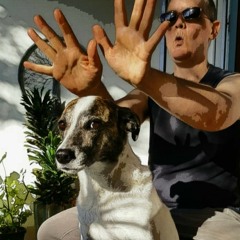 Restaurant Sugar Sachets (radio Edit)