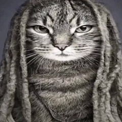 Untitled playlist