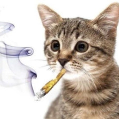 kocham weed
