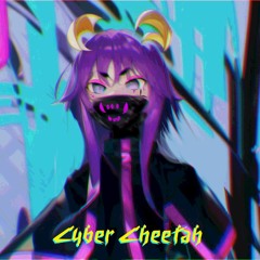 Cyber Cheetah 1st Super Hard Session!
