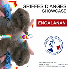 GRIFFES D'ANGES SHOWCASE : ENGALANAN