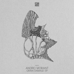 PREMIERE: Andrei Morant - Ambrose [ANTIMODUS]