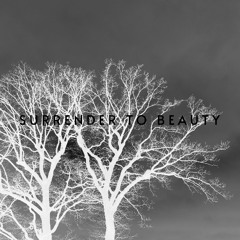 surrender to beauty